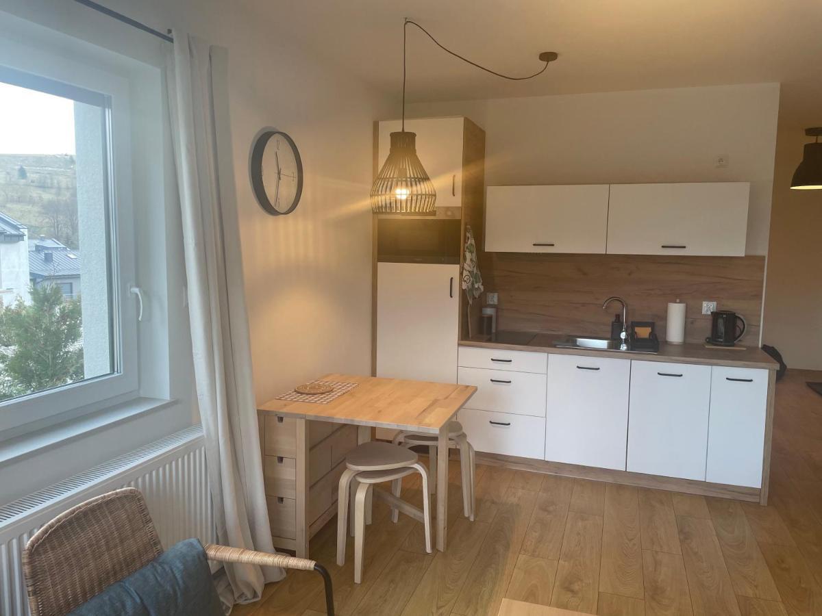 Apartament Kuba Na Spokojnej Wisła Eksteriør billede
