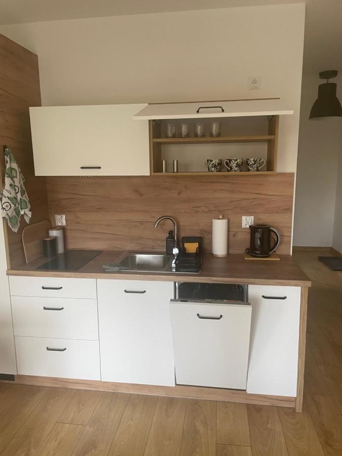 Apartament Kuba Na Spokojnej Wisła Eksteriør billede